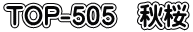 TOP-505 秋桜